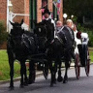 Meet your Posher, Dawn